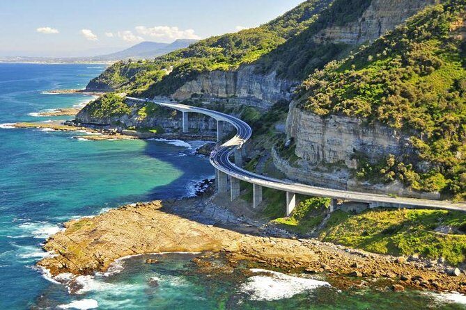 Sydney South Coast to Country Private Tour | Grand Pacific Drive - An In-Depth Look at the Tour Experience