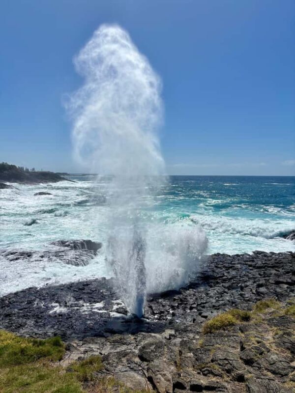 Sydney: Southern Highlands and South Coast Private Tour - FAQ