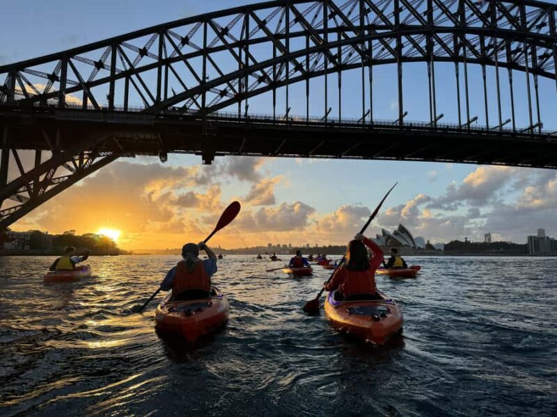 Sydney: Sunrise Kayak, Opera House & Under Harbour Bridge - Real Feedback from Participants