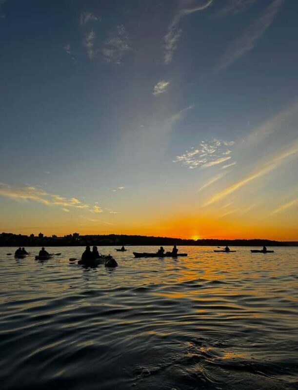 Sydney: Sunset Kayak Tour with Opera House Views - What to Expect on the Sunset Kayak Tour