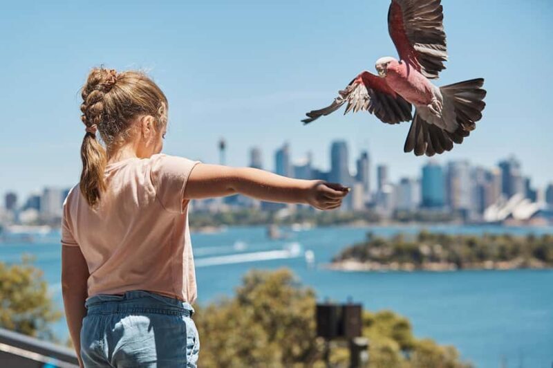 Sydney: Taronga Zoo Ticket with Return Ferry - FAQ