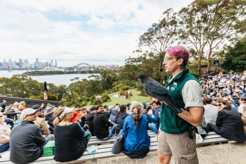 Sydney: Taronga Zoo Tickets - A Closer Look at What Taronga Zoo Offers