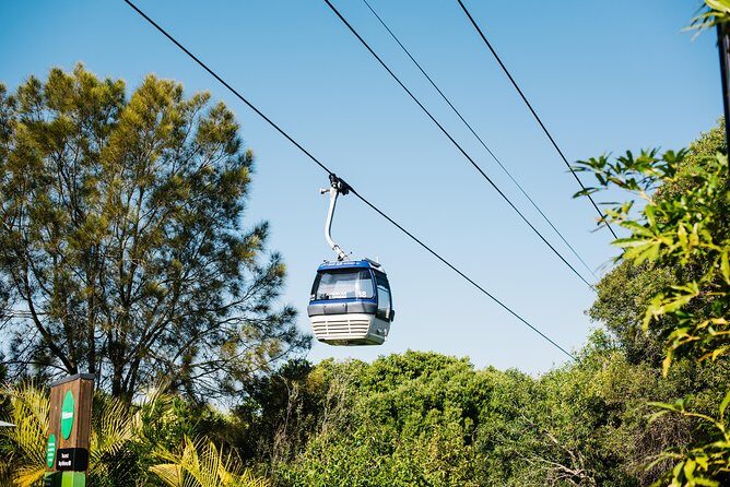 Sydney Taronga Zoo Wild Australia Experience - The Practical Details