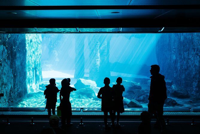 Sydney Taronga Zoo Wild Australia Experience - What the Reviews Say