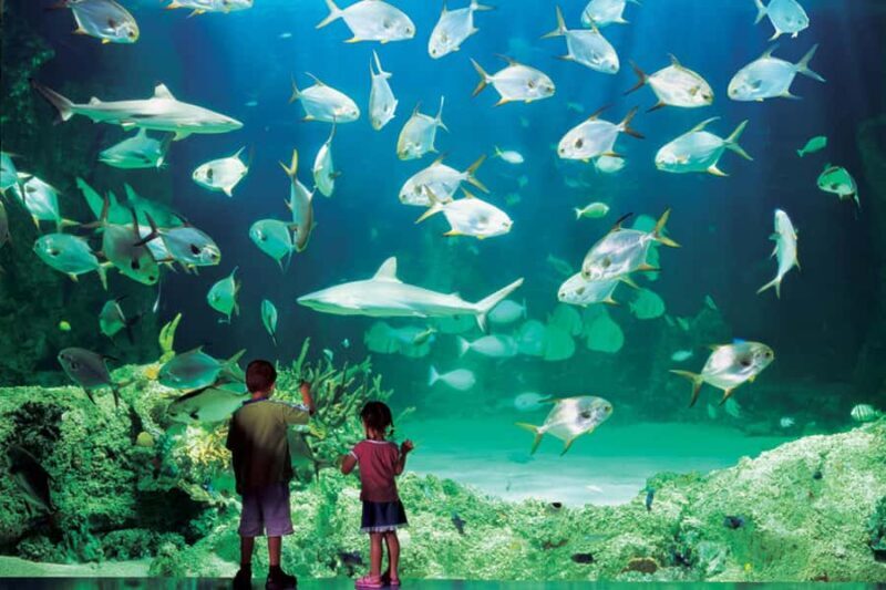 Sydney: Ultimate City Pass for 4 Attractions with Skywalk - FAQ