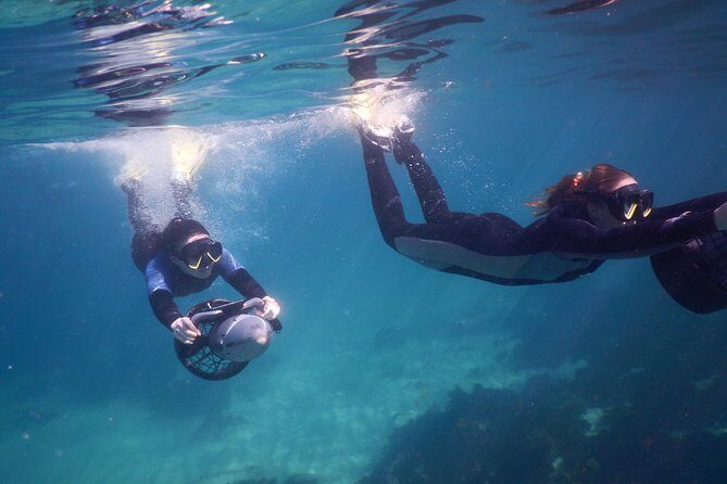 sydney underwater scooter tours - The Pricing and Value of the Tour