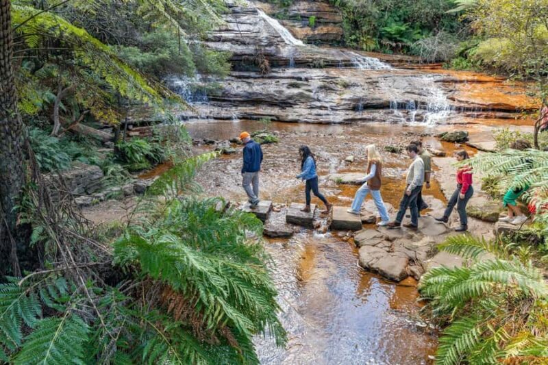 Sydney: Waterfall Bushwalk and Blue Mountain Sunset Day Trip - Key Points