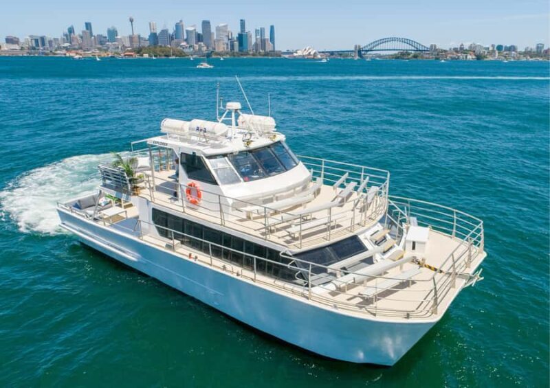 Sydney: Whale Watching Adventure Cruise - The Value and Practical Details