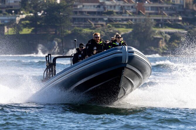 Sydney Whale Watching on Small RIB - An In-Depth Look at the Experience