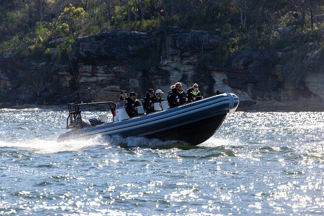 Sydney Whale Watching on Small RIB - Practical Details for Travelers