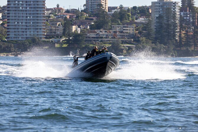 Sydney Whale Watching on Small RIB - What the Reviews Say