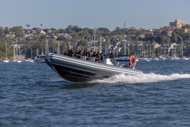 Sydney Whale Watching on Small RIB - Who Should Consider This Tour?