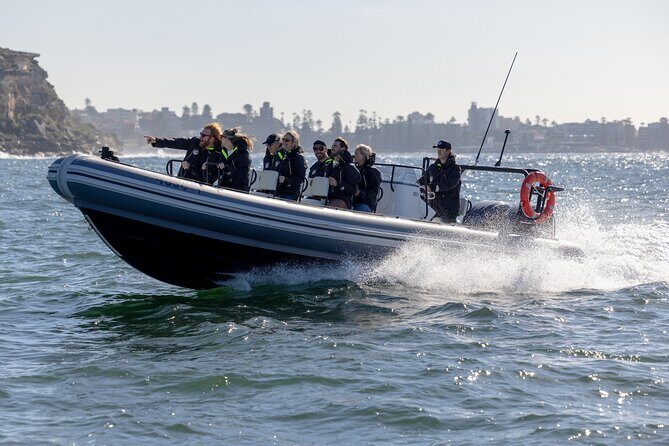 Sydney Whale Watching on Small RIB - FAQ