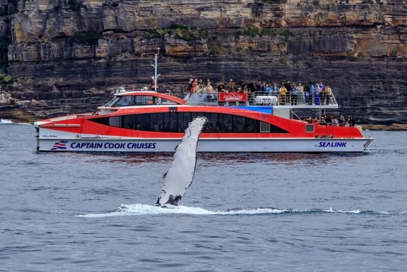 Sydney: Whale Watching & Wildlife Cruise - Who Will Love This Tour
