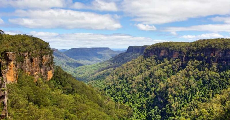 Sydney: Wildlife, Waterfalls and Wine Small Group Tour - Rainforest Hike and Waterfall Wonder