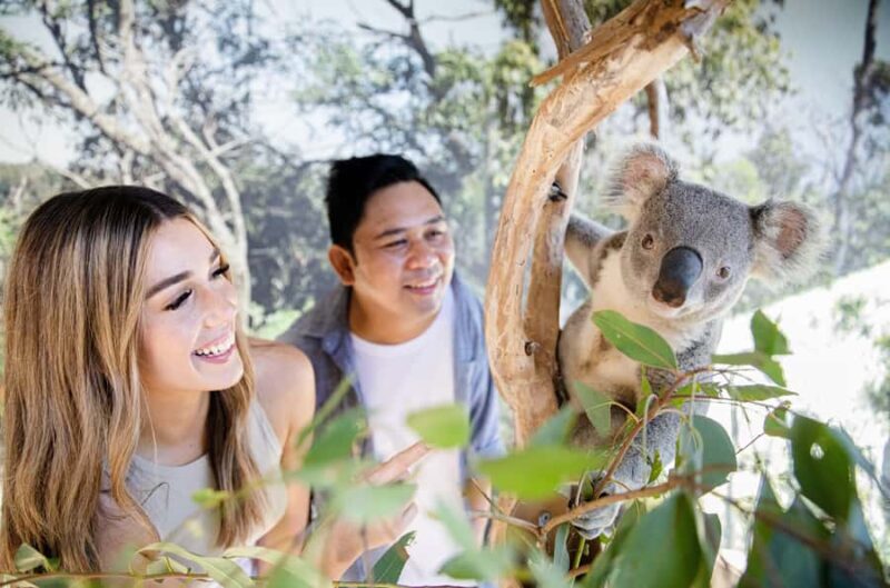 Sydney Zoo Admission Ticket - FAQ