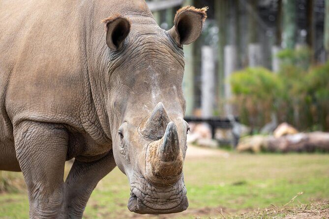 Sydney Zoo General Entry Admission Ticket - Who Will Enjoy Sydney Zoo?