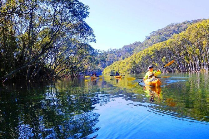 Sydney's Middle Harbour Sea Kayaking Eco Tour (Fully Guided) - Why This Tour Appeals to Different Travelers
