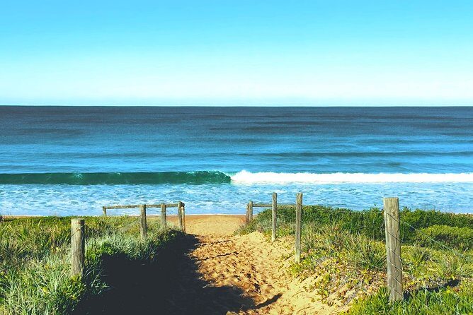 Sydney's Northern Beaches & Ku-ring-gai National Park Small Tour departing Manly - Final Thoughts