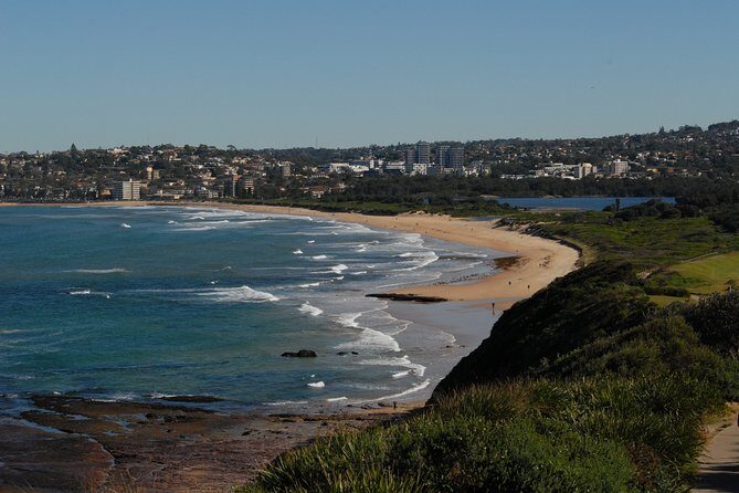 Sydney's Northern Beaches - Paradise in a city - A Closer Look at the Tour Experience