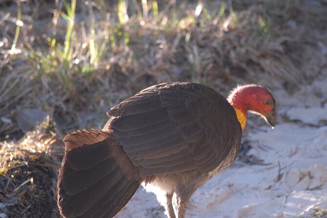 Sydney's Northern Beaches - Paradise in a city - FAQ