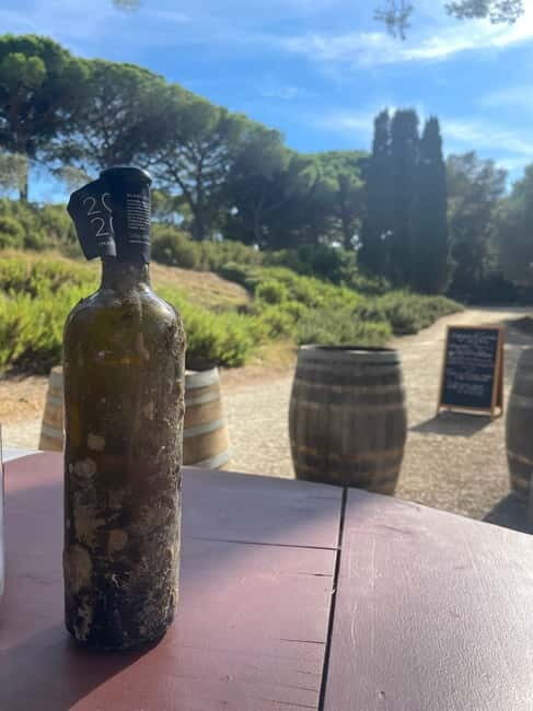 SYE Porquerolles: excursion semi-rigide découverte de l'île - The Sum Up