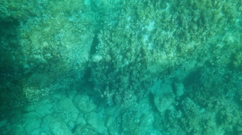 Syracuse: Coast and Sea Caves Full Transparent Boat Tour - Key Points