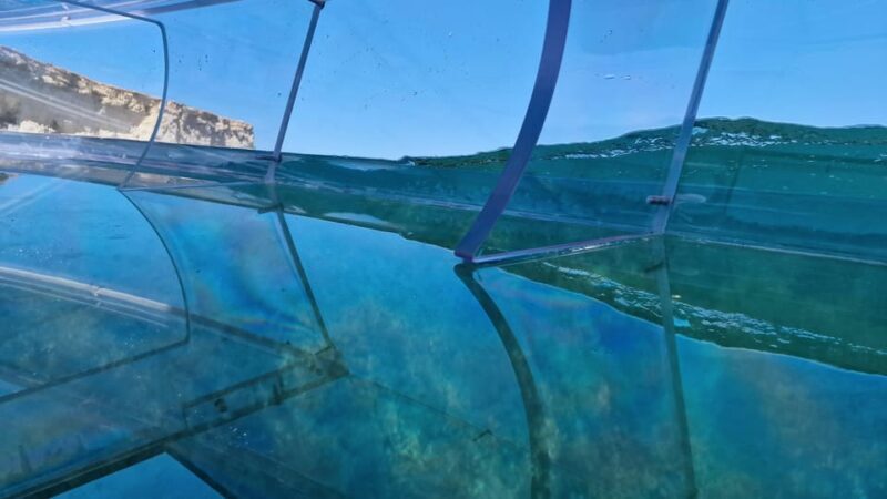 Syracuse: Coast and Sea Caves Full Transparent Boat Tour - An Overview of the Syracuse Transparent Boat Experience