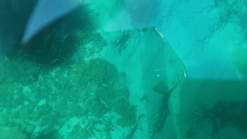 Syracuse: Coast and Sea Caves Full Transparent Boat Tour - Why This Tour Stands Out