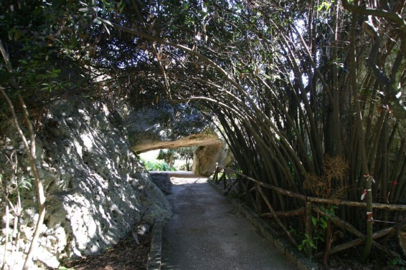 Syracuse: Neapolis Archaeological Park Small Group Tour - Who Will Love This Tour?