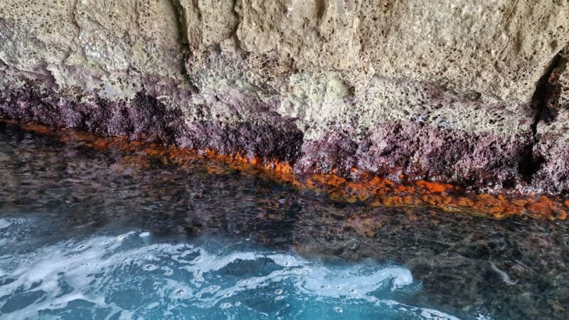 Syracuse: Picnic boat tour of Pillirina, Ortigia & sea caves - The Itinerary: What to Expect from Start to Finish