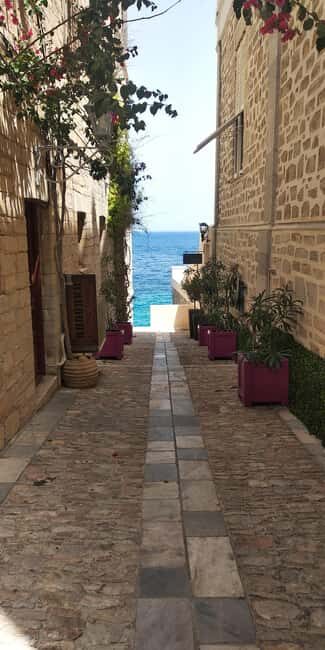 Syros: Food Walking Tour - What to Expect on the Syros Food Walking Tour