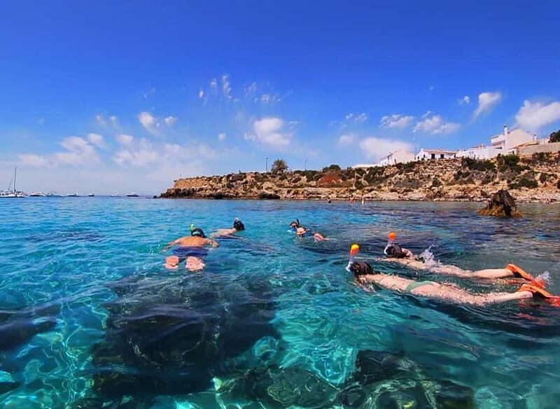 Tabarca Island: Guided Snorkel Excursion - Key Points