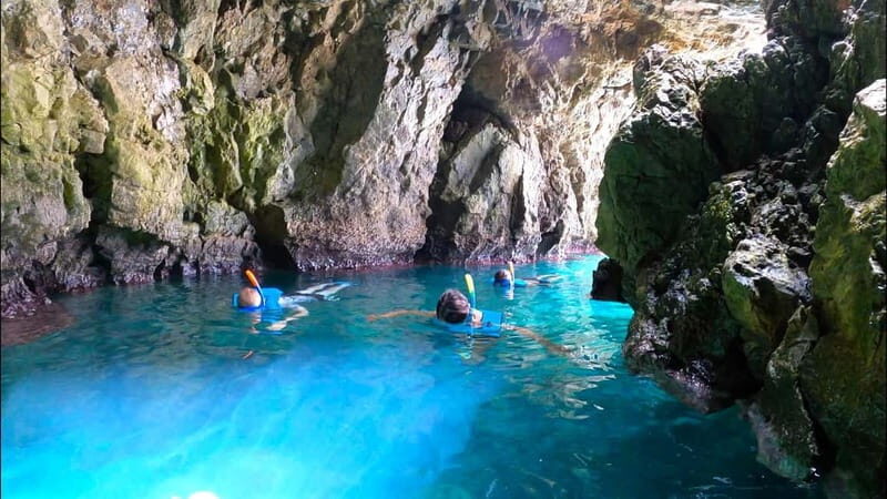 Tabarca Island: Guided Snorkel Excursion - What to Expect from the Tabarca Snorkeling Tour