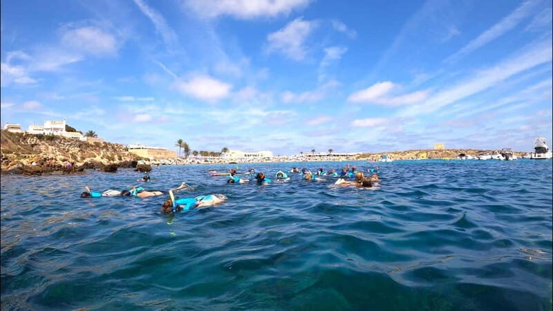 Tabarca Island: Guided Snorkel Excursion - FAQ