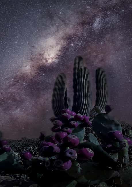 Tabernas Desert: Night of Stars with Telescopes - Key Points