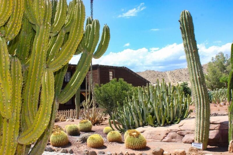 Tabernas: MiniHollywood Oasys Entry Ticket & Optional Buffet - Pools and Water Areas: Cooling Off in the Desert