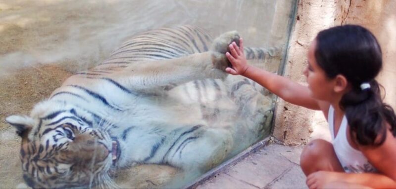 Tabernas: MiniHollywood Oasys Entry Ticket & Optional Buffet - Dining and Additional Activities