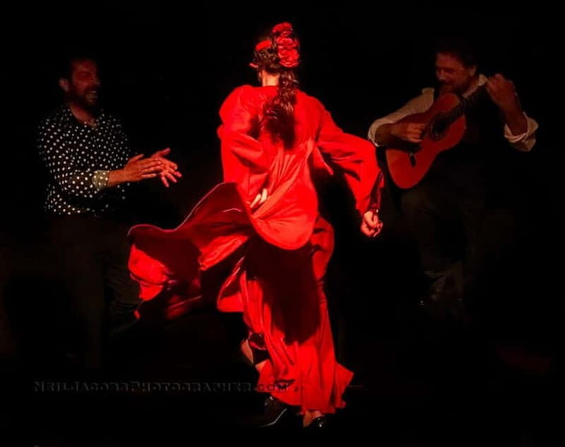 Tablao Flamenco La Exclusiva in Seville and Tinto de Verano - A Deep Dive into the Flamenco Experience