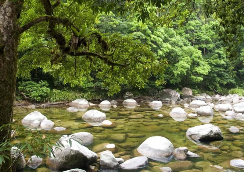 Tablelands Sights & Daintree Rainforest (2 Day Tours) - Practical Tips for Travelers