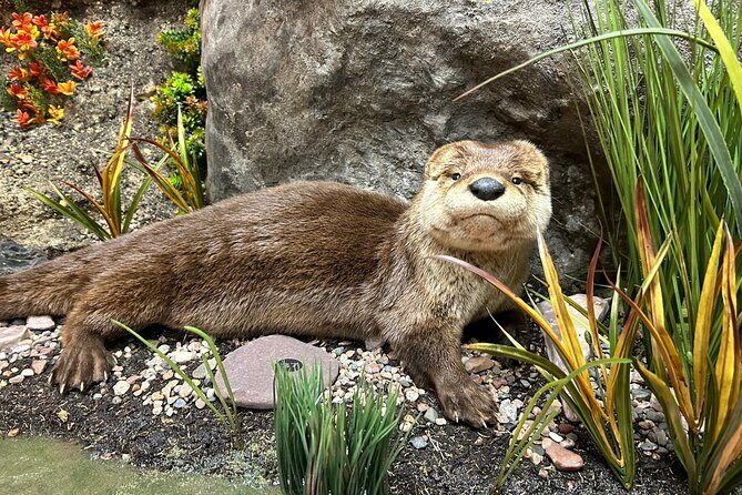 Tablet Tour in Wildlife Gallery - Why This Tour Might Be Right for You