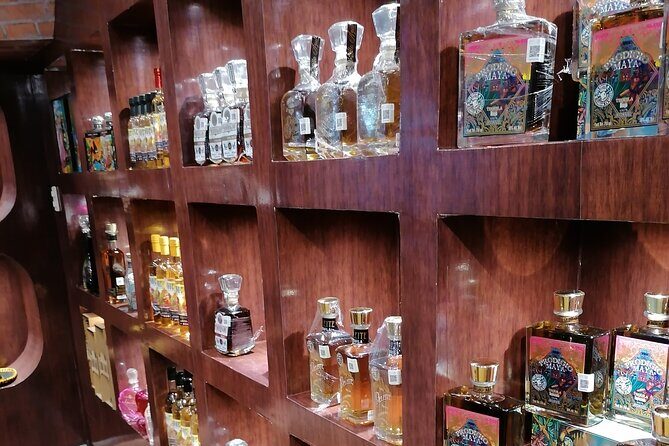 TACO ATTACK - Taco Tour Cancun - Tacos, Tequila, Shopping & More - Value for Money