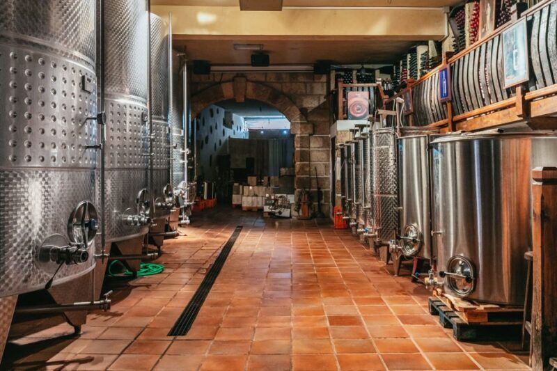 Tacoronte: Guided Winery Tour with Wine and Cheese Tastings - Summary