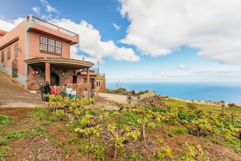 Tacoronte: Guided Winery Tour with Wine and Cheese Tastings - FAQ