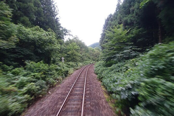Tadami Line Tour and Private Boat Night Tour of Mugenkyo Ravine - FAQ