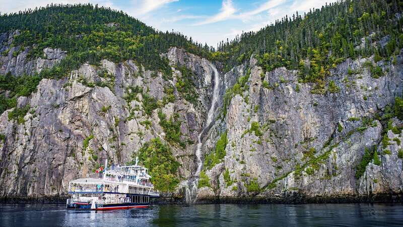 Tadoussac/Charlevoix: 3-Hour Whale Watching Boat Tour - Practical Tips for Your Trip
