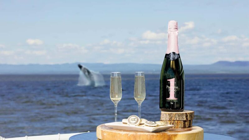 Tadoussac/Charlevoix: VIP Lounge OR UpperDeck Whale Watching - FAQs