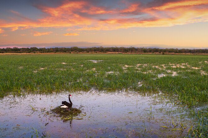 Tae Rak (Lake Condah) 2-Hour Cultural Tour - Exploring the Itinerary in Detail