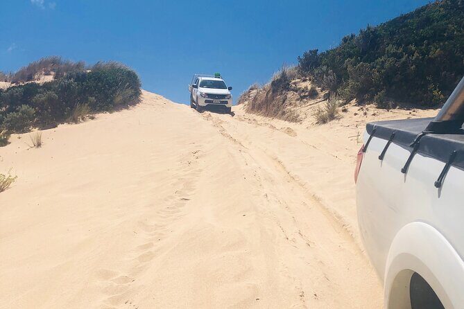 Tag along 4x4 tours Robe and Beachport - What to Expect from the Robe and Beachport 4x4 Tour