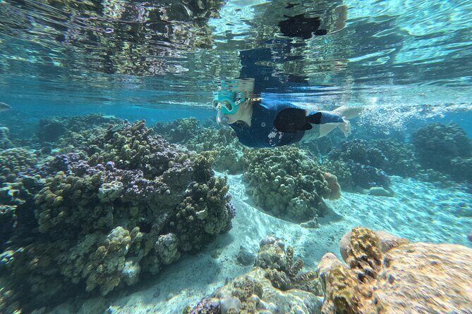 Tahaa Excursion in Electric Paddle Snorkeling Coral Garden - FAQ